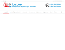 Tablet Screenshot of izmirdeilaclamasirketleri.com
